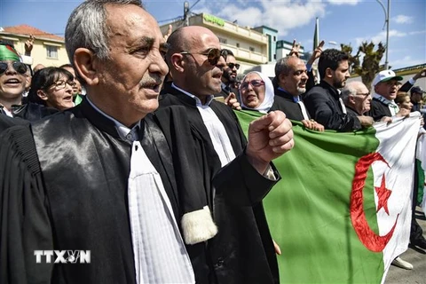 Các thẩm phán Algeria biểu tình trước trụ sở Bộ Tư pháp ở thủ đô đô Algiers ngày 13/4. (Nguồn: AFP/TTXVN) 