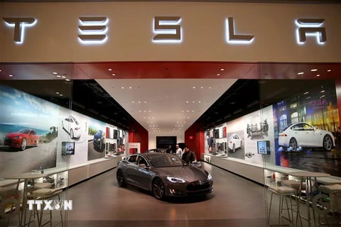 Ôtô của hãng Tesla được giới thiệu tại cửa hàng ở Miami, Florida, Mỹ. (Nguồn: AFP/TTXVN) 