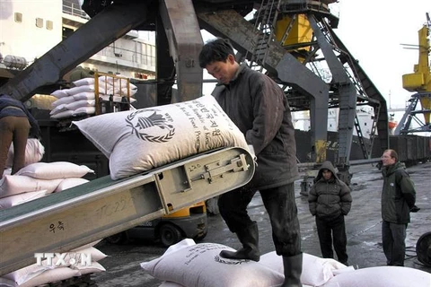 Công nhân bốc dỡ hàng viện trợ của Chương trình Lương thực thế giới tại cảng Nampo, Triều Tiên. (Nguồn: AFP/TTXVN) 