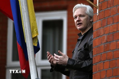 Ông Julian Assange tại Đại sứ quán Ecuador ở London, Anh ngày 19/5/2017. (Nguồn: AFP/TTXVN) 