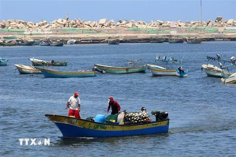 Tàu cá tại cảng ở Gaza. (Nguồn: AFP/TTXVN) 
