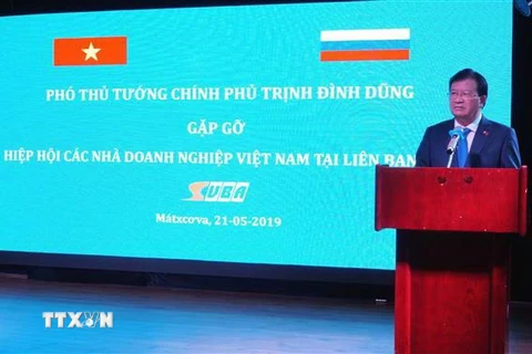 Phó Thủ tướng Trịnh Đình Dũng đưa ra các yêu cầu và nhiệm vụ với các doanh nghiệp trong nước và Liên bang Nga. (Ảnh: Tâm Hằng/TTXVN) 