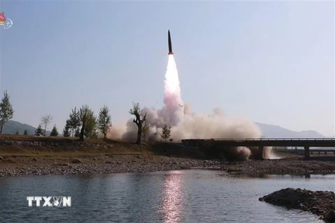 Bệ phóng tên lửa được vận hành trong cuộc diễn tập quân sự dưới sự giám sát của nhà lãnh đạo Triều Tiên Kim Jong-un ở phía Tây nước này ngày 9/5/2019. (Nguồn: Yonhap/TTXVN) 