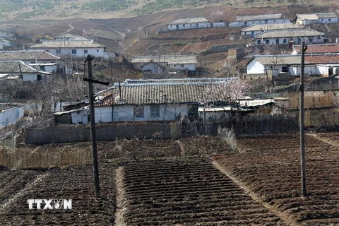 Đất trồng trọt khô hạn tại Nampho, tỉnh Nam Phyongan, Triều Tiên. (Nguồn: AFP/TTXVN) 