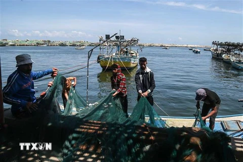 Ngư dân Palestine đánh cá tại cảng ở thành phố Gaza ngày 10/5/2019. (Nguồn: THX/TTXVN) 