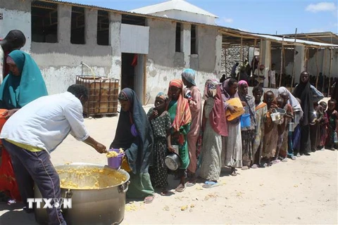 Trẻ em xếp hàng nhận thức ăn ở Mogadishu, Somalia. (Nguồn: AFP/TTXVN) 