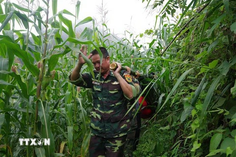 Bộ đội biên phòng Lào Cai đưa thi thể cụ bà Ma Thị Dính ra khỏi rừng. (Nguồn: TTXVN) 