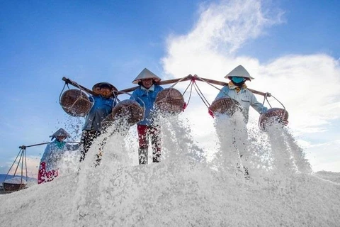 [Video] Nỗ lực bám nghề làm muối của những người dân Hòn Khói