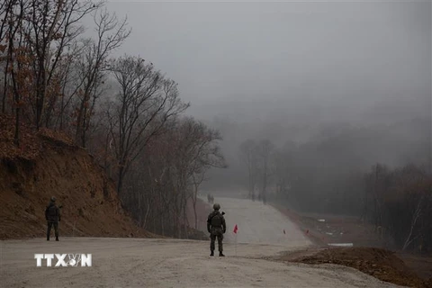 Khu phi quân sự liên Triều (DMZ) ở huyện Cheorwon, tỉnh Gangwon, Hàn Quốc. (Nguồn: AFP/TTXVN) 