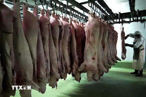 Các sản phẩm thịt lợn tại nhà máy chế biến thực phẩm ở ngoại ô thủ đô Sofia, Bulgaria. (Nguồn: AFP/TTXVN) 