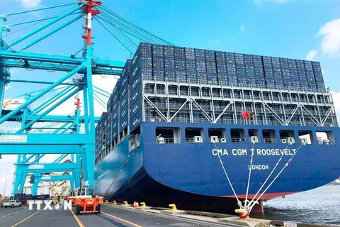 Tàu chở hàng hóa xuất nhập khẩu tại cảng Port Elizabeth của Nam Phi. Nằm ở phía cực Nam của châu Phi, Port Elizabeth được đánh giá là một trong những cảng bận rộn nhất của Lục địa Đen. (Ảnh: Phi Hùng/TTXVN) 