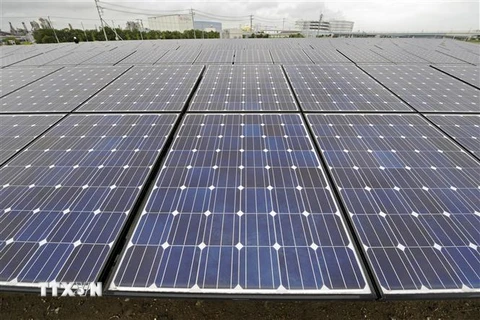 Các tấm pin năng lượng Mặt Trời tại nhà máy điện ở Kanagawa, Nhật Bản. (Nguồn: AFP/TTXVN) 