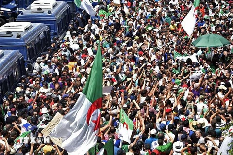 Người dân Algeria tập trung biểu tình phản đối Chính phủ tại thủ đô Algiers ngày 12/7/2019. (Nguồn: AFP/TTXVN) 