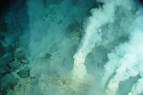 Các nhà khoa học sẽ khám phá hai dãy núi lửa ngầm dưới đáy Biển San Hô. (Nguồn: abc.net.au) 