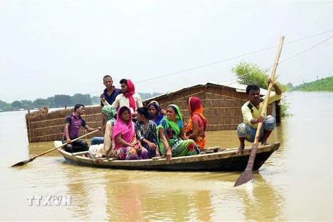 Cảnh ngập lụt tại Muzzaffarpur ,bang Bihar, Ấn Độ. (Nguồn: THX/TTXVN) 