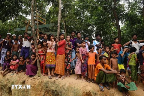 Người Rohingya tại trại tị nạn Kutupalong ở Ukhia, Bangladesh, ngày 25/8/2018. (Nguồn: AFP/TTXVN) 