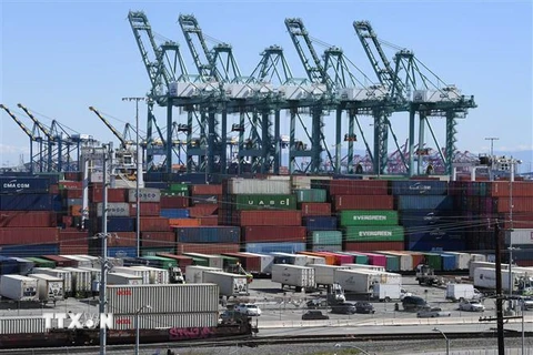 Hàng hóa của Trung Quốc chờ bốc dỡ tại cảng Long Beach ở Los Angeles, California, Mỹ ngày 16/2. (Nguồn: AFP/TTXVN) 