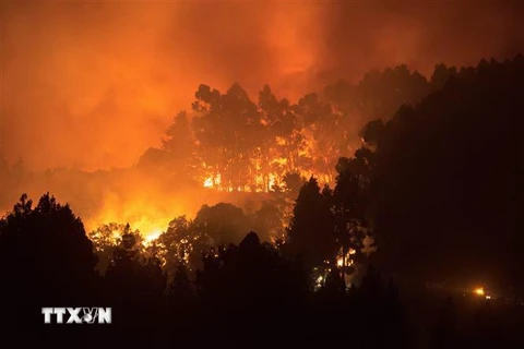 Khói lửa bốc lên từ đám cháy rừng ở đảo Gran Canaria, Tây Ban Nha ngày 17/8/2019. (Nguồn: AFP/TTXVN) 