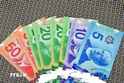 Đồng CAD của Canada. (Nguồn: Daily/TTXVN) 