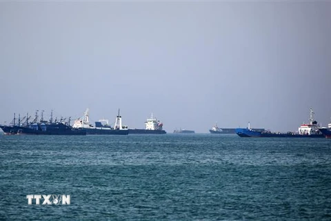 Các tàu chở hàng đi qua vùng Vịnh. (Nguồn: AFP/TTXVN) 