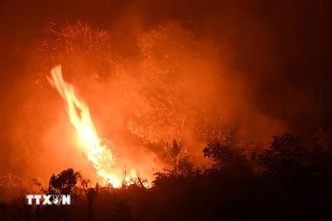 Lửa bùng lên từ các đám cháy rừng ở Kampar, Indonesia, ngày 16/9. (Nguồn: AFP/TTXVN) 