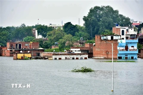 Cảnh ngập lụt tại Varanasi, bang Uttar Pradesh, Ấn Độ, ngày 21/9/2019. (Nguồn: THX/TTXVN) 