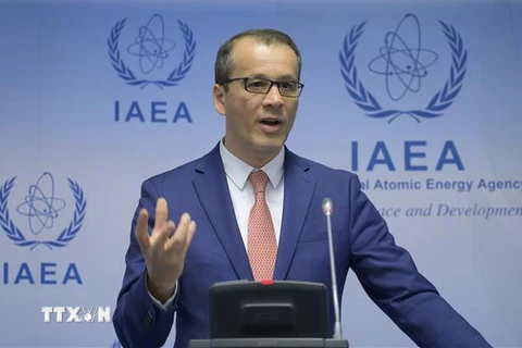 Quyền Tổng Giám đốc Cơ quan năng lượng nguyên tử quốc tế (IAEA), ông Cornel Feruta. (Nguồn: AFP/TTXVN) 