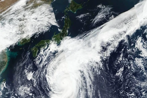  Cơ quan khí tượng Nhật Bản dự báo sức gió có thể đạt tới mức 216 km/giờ. (Nguồn: stuff.co.nz) 