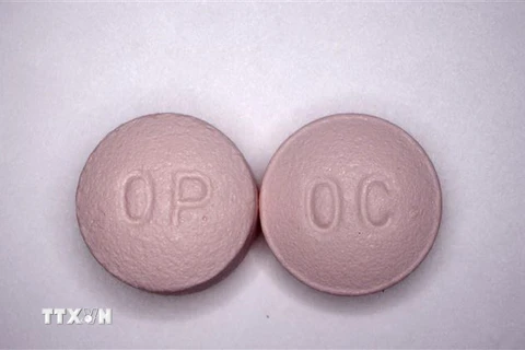 Thuốc giảm đau có chứa opioid. (Nguồn: AFP/TTXVN) 