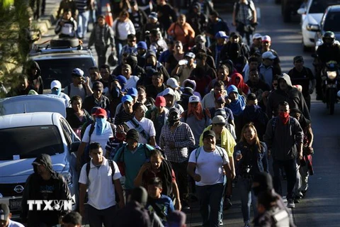 Một nhóm người di cư El Salvador tập trung tại thủ đô San Salvador, chuẩn bị bắt đầu hành trình tới Mỹ ngày 16/1/2019. (Nguồn: AFP/TTXVN) 