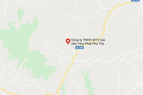 Vị trí Công ty Trách nhiệm hữu hạn Một thành viên gia cầm Hòa Phát Phú Thọ. (Nguồn: Google Maps) 