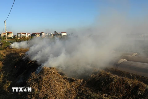 Cận cảnh hoạt động đốt rơm, rác gây ảnh hưởng xấu tới môi trường