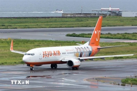 Máy bay của Hãng hàng không Hàn Quốc Jeju Air. (Nguồn: KBS WORLD/TTXVN) 