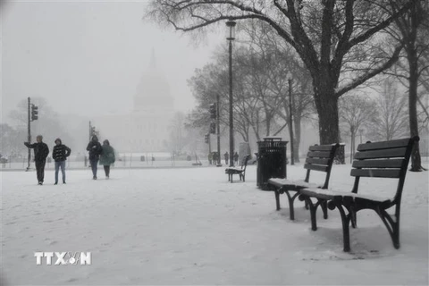 Tuyết phủ trắng xóa tại Washington D.C., Mỹ, ngày 20/2/2019. (Nguồn: THX/TTXVN) 