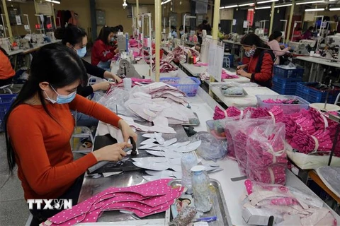 May giày xuất khẩu tại Công ty Trách nhiệm hữu hạn hóa dệt Hà Tây, xã Cam Thượng, Ba Vì, Hà Nội. (Ảnh: Trần Việt/TTXVN) 