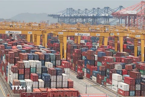Cảng container ở thành phố Busan, Hàn Quốc ngày 1/11/2019. (Nguồn: YONHAP/TTXVN) 