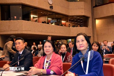 Đoàn Việt Nam tham dự Đại hội đồng Hiệp Hội Chữ thập Đỏ và Trăng lưỡi liềm Đỏ quốc tế lần thứ 22. (Ảnh: Tố Uyên/TTXVN) 