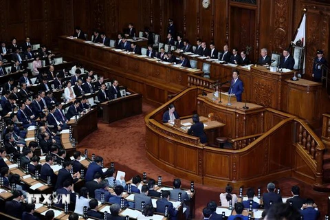 Thủ tướng Nhật Bản Shinzo Abe phát biểu tại một phiên họp Quốc hội. (Nguồn: AFP/TTXVN) 