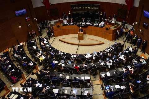 Toàn cảnh một phiên họp của Thượng viện Mexico tại Mexico City. (Nguồn: AFP/TTXVN) 