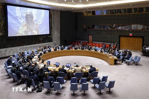 Toàn cảnh một cuộc họp Hội đồng Bảo an Liên hợp quốc tại New York, Mỹ. (Nguồn: THX/TTXVN) 