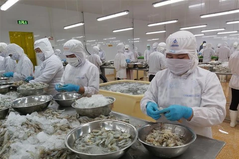 [Video] Con tôm, hàng xuất khẩu chủ lực của ngành nông nghiệp Việt Nam