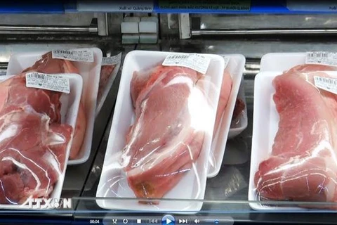 Dịch tả lợn châu Phi tại Việt Nam đã khiến đàn lợn suy giảm mạnh, giá thịt lợn tăng cao. (Nguồn: TTXVN) 