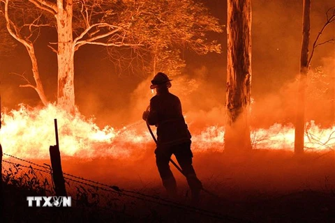 Lính cứu hỏa nỗ lực dập lửa cháy rừng tại Australia. (Nguồn: AFP/TTXVN) 