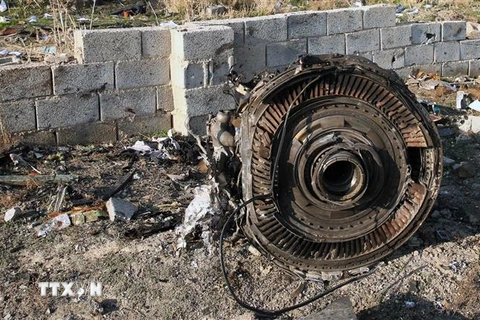 Động cơ của máy bay Boeing 737 gặp nạn ở gần thủ đô Tehran, Iran. (Nguồn: AFP/TTXVN) 