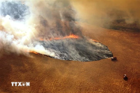 Khói lửa bốc lên từ đám cháy rừng tại Victoria, Australia. (Nguồn: THX/TTXVN) 