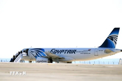 Máy bay của Hãng hàng không EgyptAir. (Nguồn: AFP/ TTXVN) 