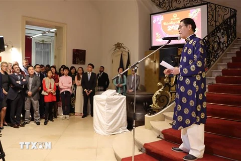 Đại sứ Vũ Anh Quang phát biểu tại buổi gặp mặt đầu xuân Canh Tý 2020. (Ảnh: Kim Chung/TTXVN) 