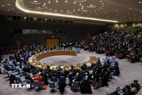 Toàn cảnh một cuộc họp của Hội đồng Bảo an Liên hợp quốc ở New York, Mỹ. (Nguồn: THX/TTXVN) 
