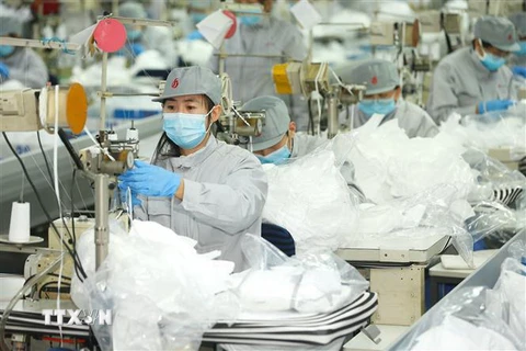 Công nhân làm việc tại một nhà máy sản xuất khẩu trang ở Sơn Đông, Trung Quốc ngày 12/2/2020. (Nguồn: THX/TTXVN) 