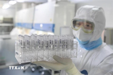 Kỹ thuật viên làm việc trong phòng thí nghiệm ở Hợp Phì, tỉnh An Huy, Trung Quốc, ngày 9/2/2020. (Nguồn: THX/TTXVN) 
